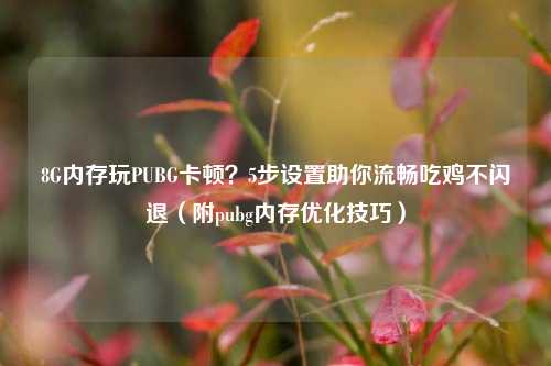 8G内存玩PUBG卡顿?5步设置助你流畅吃鸡不闪退(附pubg内存优化技巧)
