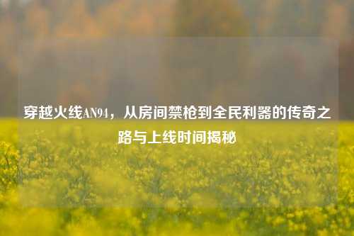 穿越火线AN94，从房间禁枪到全民利器的传奇之路与上线时间揭秘