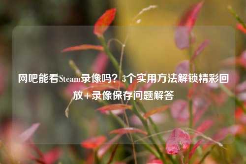 网吧能看Steam录像吗？3个实用方法解锁精彩回放+录像保存问题解答