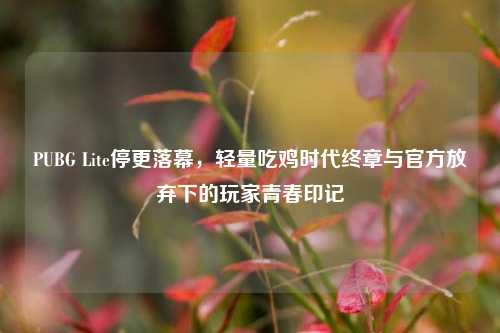 PUBG Lite停更落幕，轻量吃鸡时代终章与官方放弃下的玩家青春印记