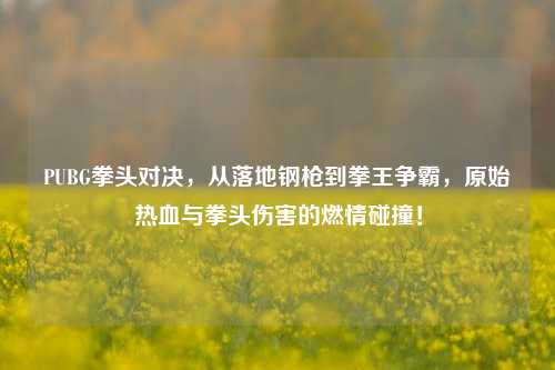 PUBG拳头对决,从落地钢枪到拳王争霸,原始热血与拳头伤害的燃情碰撞!