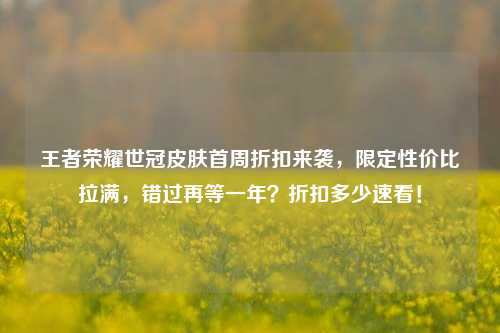 王者荣耀世冠皮肤首周折扣来袭,限定性价比拉满,错过再等一年?折扣多少速看!