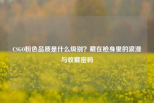 CSGO粉色品质是什么级别？藏在枪身里的浪漫与收藏密码