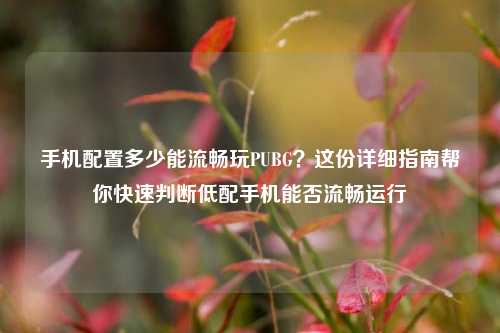 手机配置多少能流畅玩PUBG?这份详细指南帮你快速判断低配手机能否流畅运行