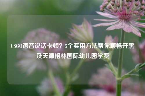 CSGO语音说话卡顿？5个实用方法帮你顺畅开黑及天津格林国际幼儿园学费