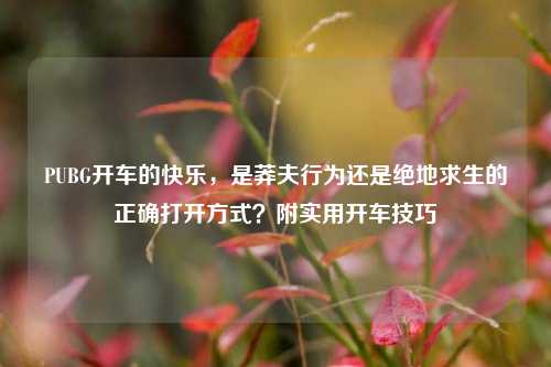 PUBG开车的快乐，是莽夫行为还是绝地求生的正确打开方式？附实用开车技巧