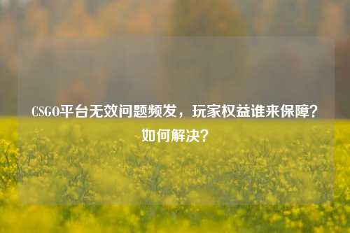 CSGO平台无效问题频发,玩家权益谁来保障?如何解决?