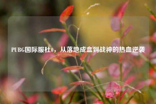 PUBG国际服杜0，从落地成盒到战神的热血逆袭
