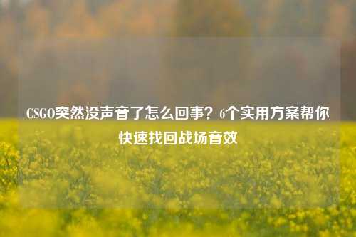 CSGO突然没声音了怎么回事？6个实用方案帮你快速找回战场音效