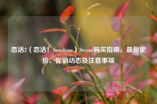 恋活2(恋活!Sunshine)Steam购买指南,最新定价、促销动态及注意事项