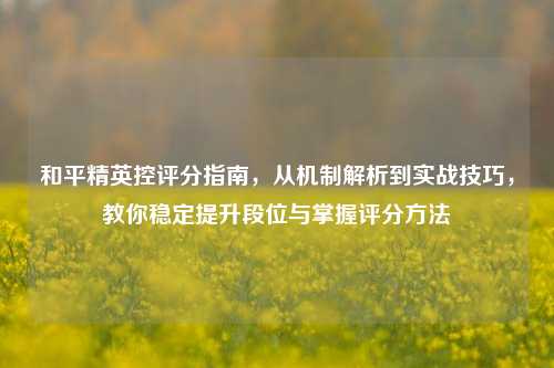 和平精英控评分指南,从机制解析到实战技巧,教你稳定提升段位与掌握评分方法