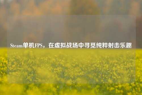 Steam单机FPS，在虚拟战场中寻觅纯粹射击乐趣