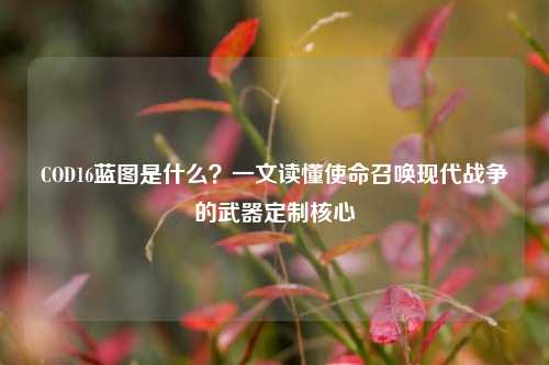 COD16蓝图是什么？一文读懂使命召唤现代战争的武器定制核心