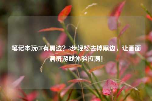 笔记本玩CF有黑边?3步轻松去掉黑边,让画面满屏游戏体验拉满!