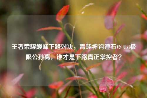 王者荣耀巅峰下路对决,青蛙神钩锤石VS Uzi极限公孙离,谁才是下路真正掌控者?