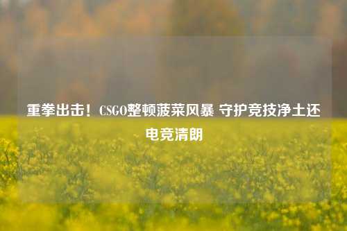 重拳出击！CSGO整顿菠菜风暴 守护竞技净土还电竞清朗