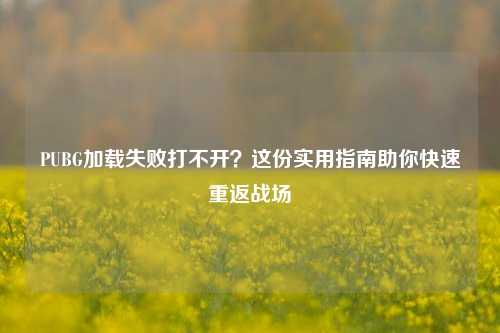 PUBG加载失败打不开?这份实用指南助你快速重返战场
