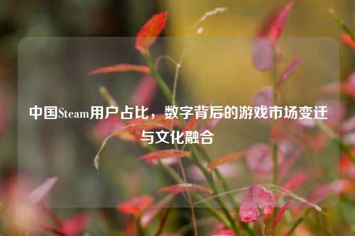 中国Steam用户占比，数字背后的游戏市场变迁与文化融合