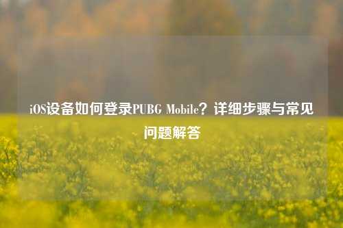 iOS设备如何登录PUBG Mobile?详细步骤与常见问题解答