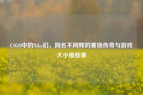 CSGO中的Niko们，同名不同辉的赛场传奇与游戏大小那些事