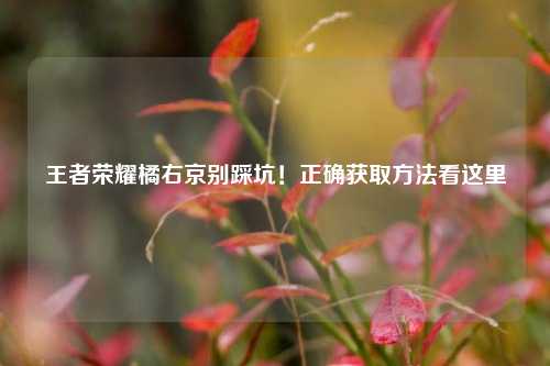 王者荣耀橘右京别踩坑！正确获取方法看这里