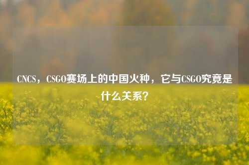 CNCS,CSGO赛场上的中国火种,它与CSGO究竟是什么关系?