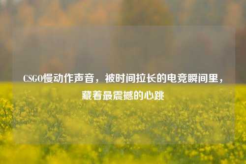CSGO慢动作声音，被时间拉长的电竞瞬间里，藏着最震撼的心跳