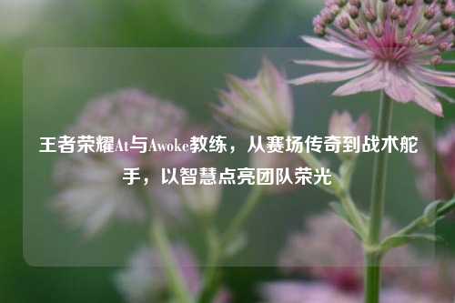 王者荣耀At与Awoke教练，从赛场传奇到战术舵手，以智慧点亮团队荣光