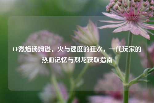 CF烈焰汤姆逊,火与速度的狂欢,一代玩家的热血记忆与烈龙获取指南