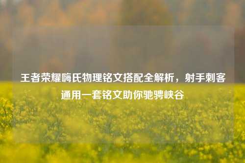 王者荣耀嗨氏物理铭文搭配全解析,射手刺客通用一套铭文助你驰骋峡谷