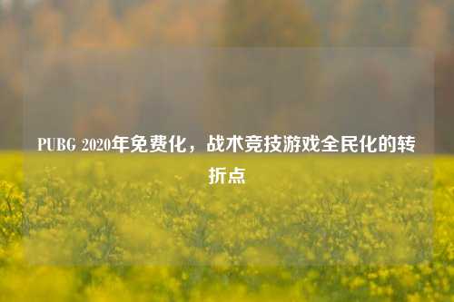 PUBG 2020年免费化，战术竞技游戏全民化的转折点