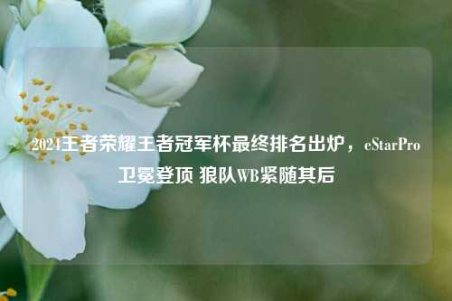 2024王者荣耀王者冠军杯最终排名出炉，eStarPro卫冕登顶 狼队WB紧随其后
