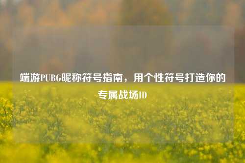 端游PUBG昵称符号指南，用个性符号打造你的专属战场ID