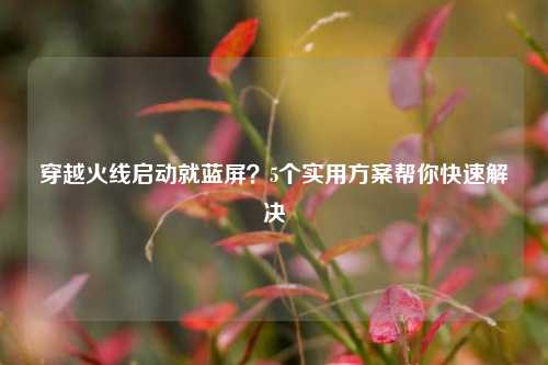 穿越火线启动就蓝屏?5个实用方案帮你快速解决
