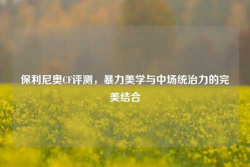 保利尼奥CF评测,暴力美学与中场统治力的完美结合