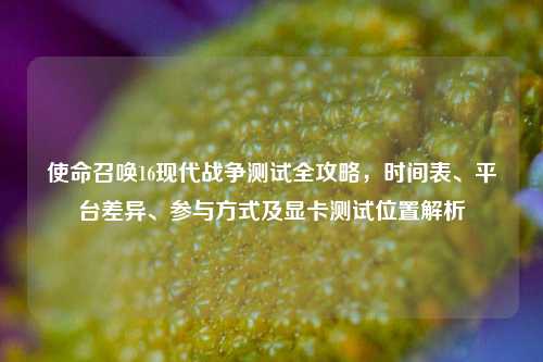 使命召唤16现代战争测试全攻略，时间表、平台差异、参与方式及显卡测试位置解析