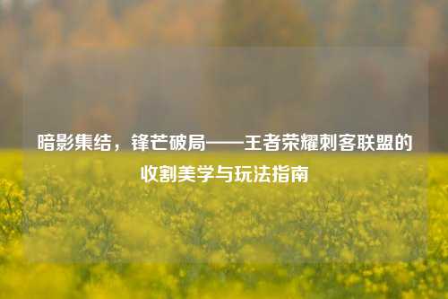 暗影集结，锋芒破局——王者荣耀刺客联盟的收割美学与玩法指南