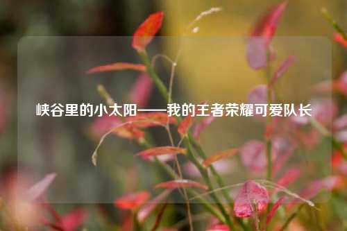 峡谷里的小太阳——我的王者荣耀可爱队长