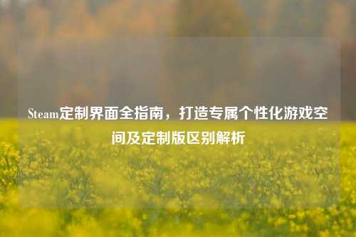 Steam定制界面全指南,打造专属个性化游戏空间及定制版区别解析