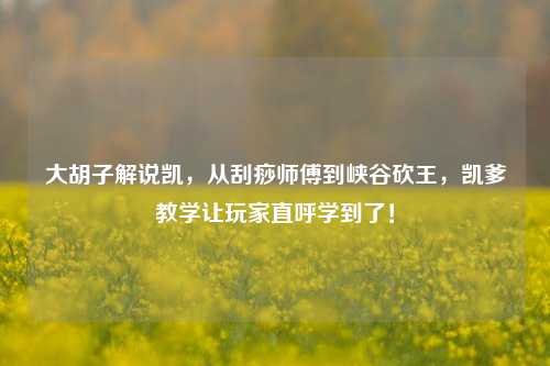 大胡子解说凯,从刮痧师傅到峡谷砍王,凯爹教学让玩家直呼学到了!