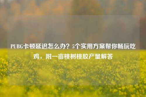 PUBG卡顿延迟怎么办?5个实用方案帮你畅玩吃鸡,附一亩桃树桃胶产量解答