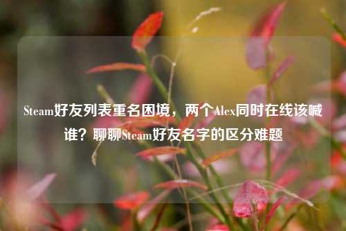 Steam好友列表重名困境,两个Alex同时在线该喊谁?聊聊Steam好友名字的区分难题
