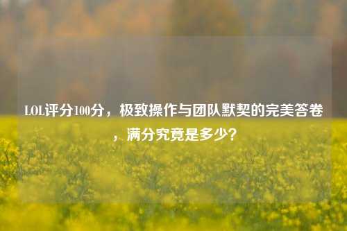 LOL评分100分,极致操作与团队默契的完美答卷,满分究竟是多少?