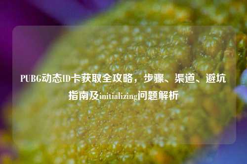 PUBG动态ID卡获取全攻略,步骤、渠道、避坑指南及initializing问题解析