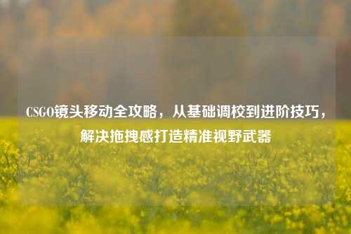 CSGO镜头移动全攻略，从基础调校到进阶技巧，解决拖拽感打造精准视野武器
