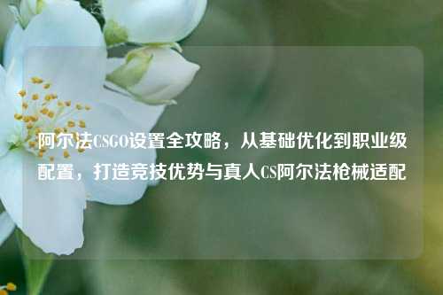阿尔法CSGO设置全攻略，从基础优化到职业级配置，打造竞技优势与真人CS阿尔法枪械适配