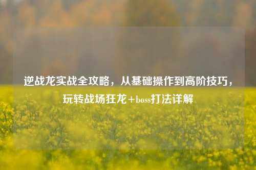 逆战龙实战全攻略，从基础操作到高阶技巧，玩转战场狂龙+boss打法详解