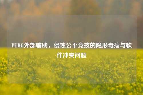 PUBG外部辅助，侵蚀公平竞技的隐形毒瘤与软件冲突问题
