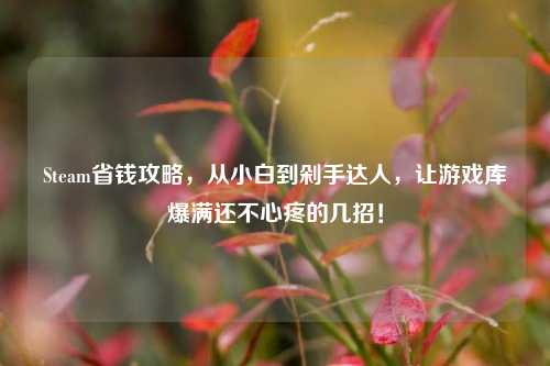 Steam省钱攻略，从小白到剁手达人，让游戏库爆满还不心疼的几招！