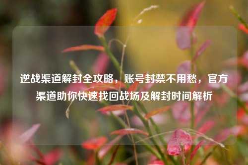 逆战渠道解封全攻略，账号封禁不用愁，官方渠道助你快速找回战场及解封时间解析